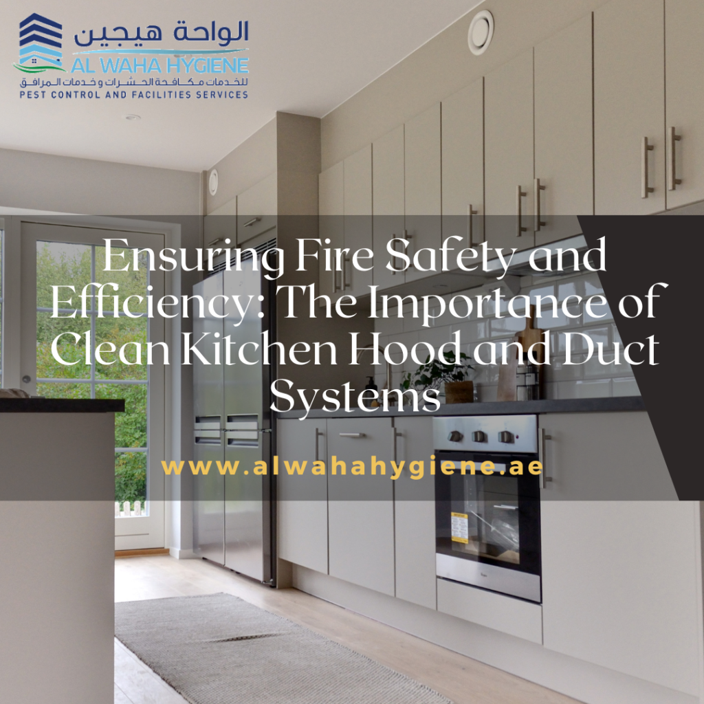 Ensuring Fire Safety and Efficiency: The Importance of Clean Kitchen Hood and Duct Systems