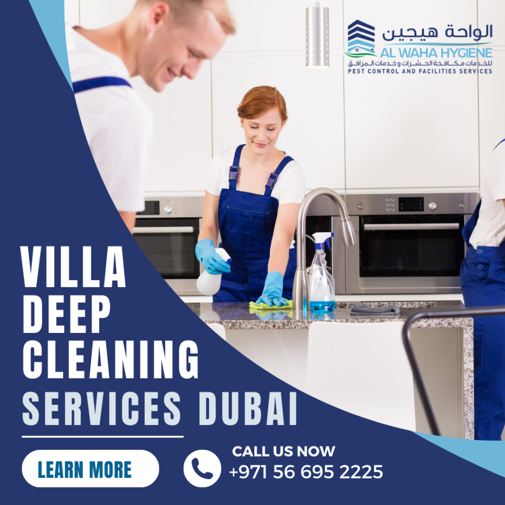 How Do Professional Deep Cleaning Services Impact the Cleaning of Villas?