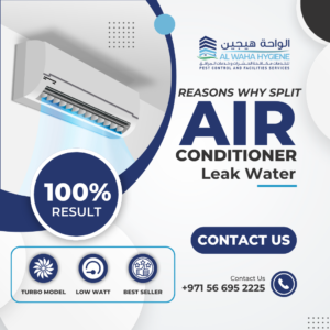 Reasons Why Split Air Conditioners Leak Water