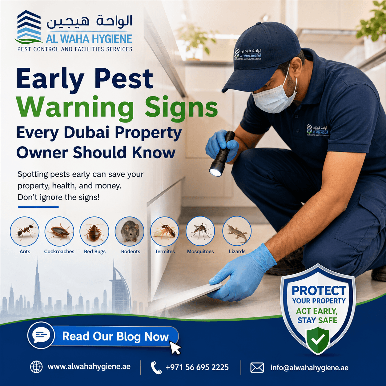 Early Pest Warning Signs Every Dubai Property Owner Should Know