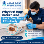 Why Bed Bugs Return and How to Stop Them Effectively