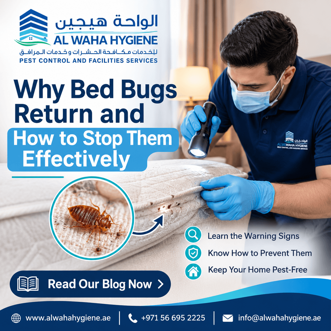 Why Bed Bugs Return and How to Stop Them Effectively