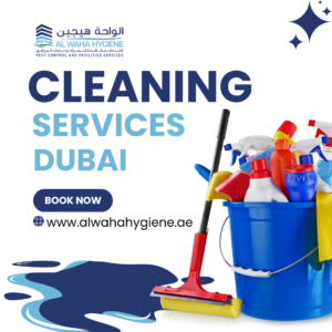 Cleaning Services