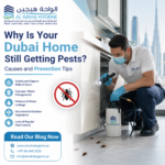 Why Is Your Dubai Home Still Getting Pests? Causes and Prevention Tips