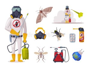 Pest Control Dubai