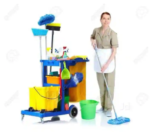 Cleaning Services