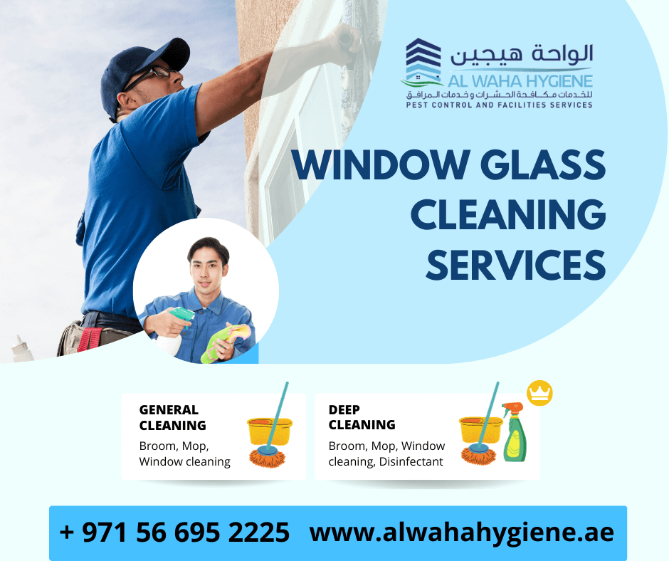 Why Hiring a Professional for Window Glass Cleaning Services