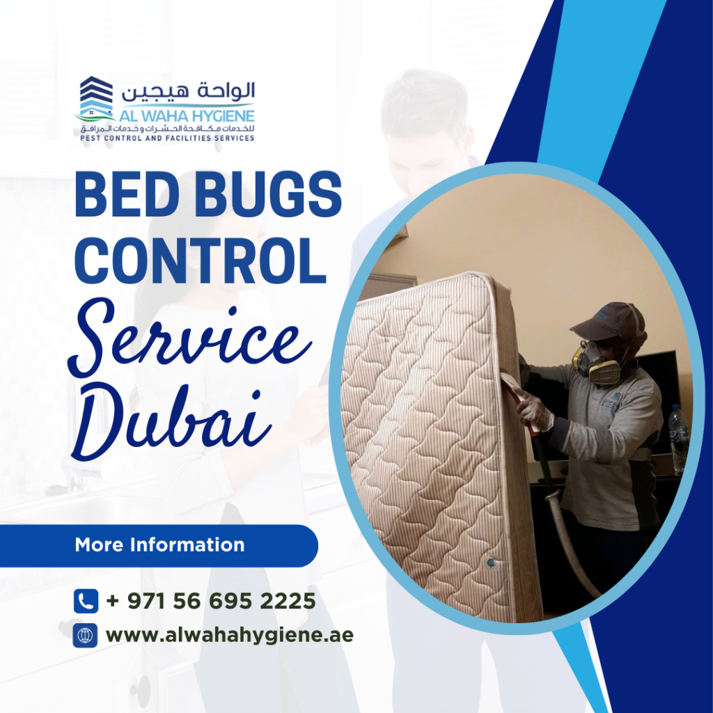 Preparing Your Home for Bed Bug Control Services in Dubai