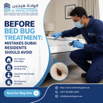 Before Bed Bug Treatment: Mistakes Dubai Residents Should Avoid