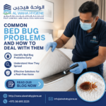 Common Bed Bug Problems and How to Deal With Them