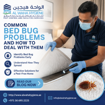 Common Bed Bug Problems and How to Deal With Them