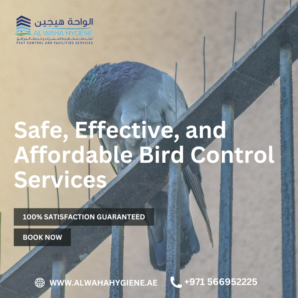 The Significance of Bird Control Services in Dubai