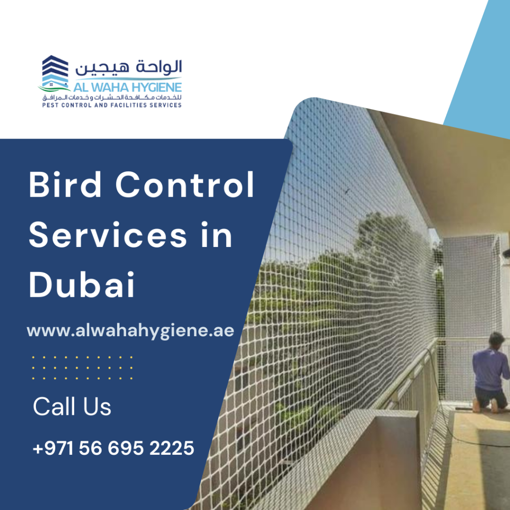 Flying High: Bird Control Services in Dubai