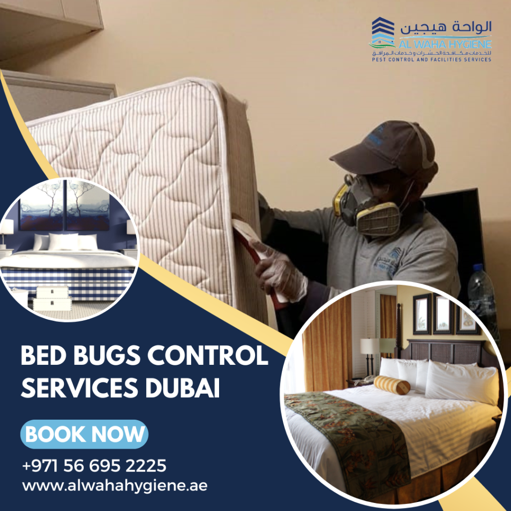 Bed Bugs Control Services in Dubai: Ensuring a Pest-Free Haven by Professionals