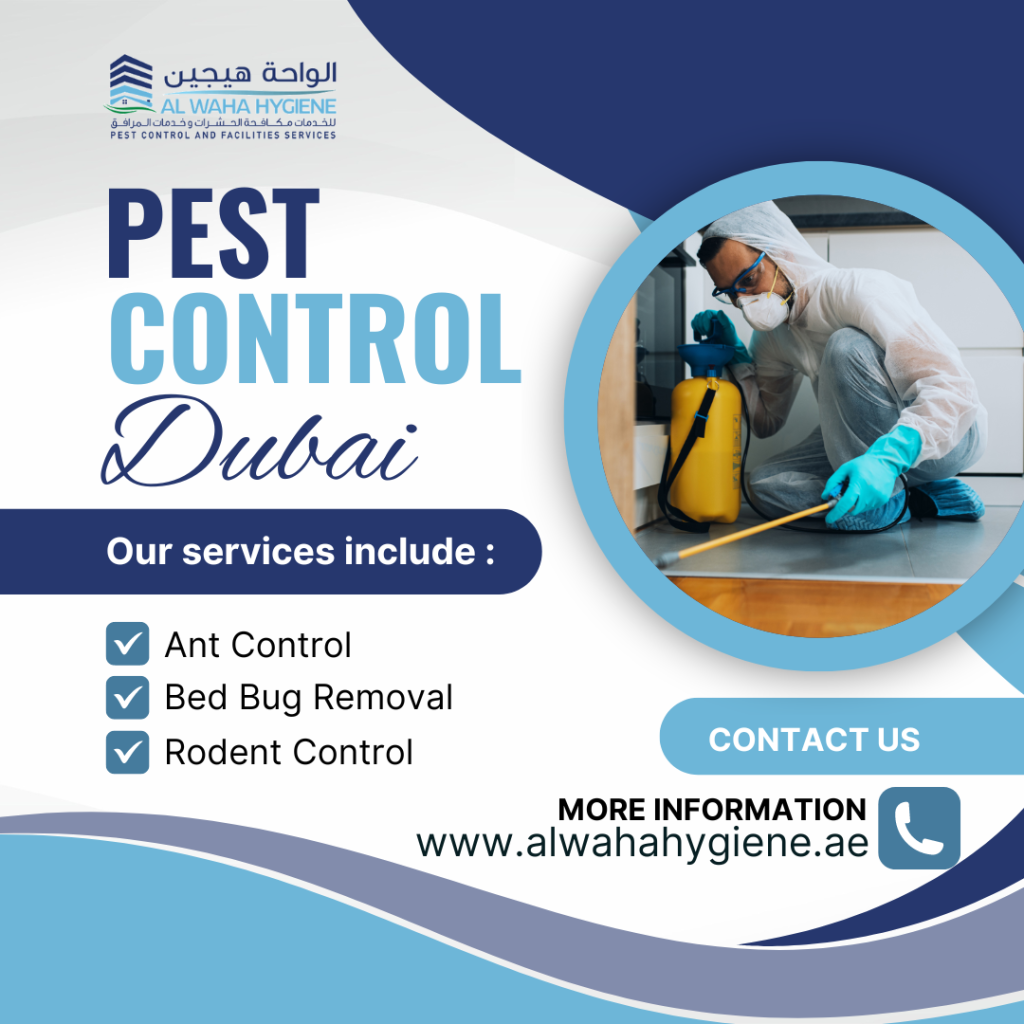 Ensuring Pest Control in Dubai: Proven Strategies for Hygienic Living
