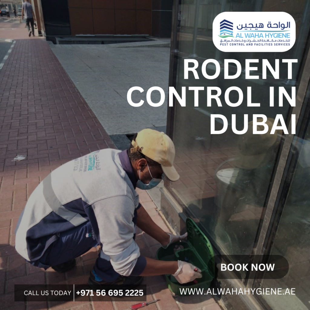 Top 3 Methods of Keeping Rodents Away from Your Home if You Live in Dubai