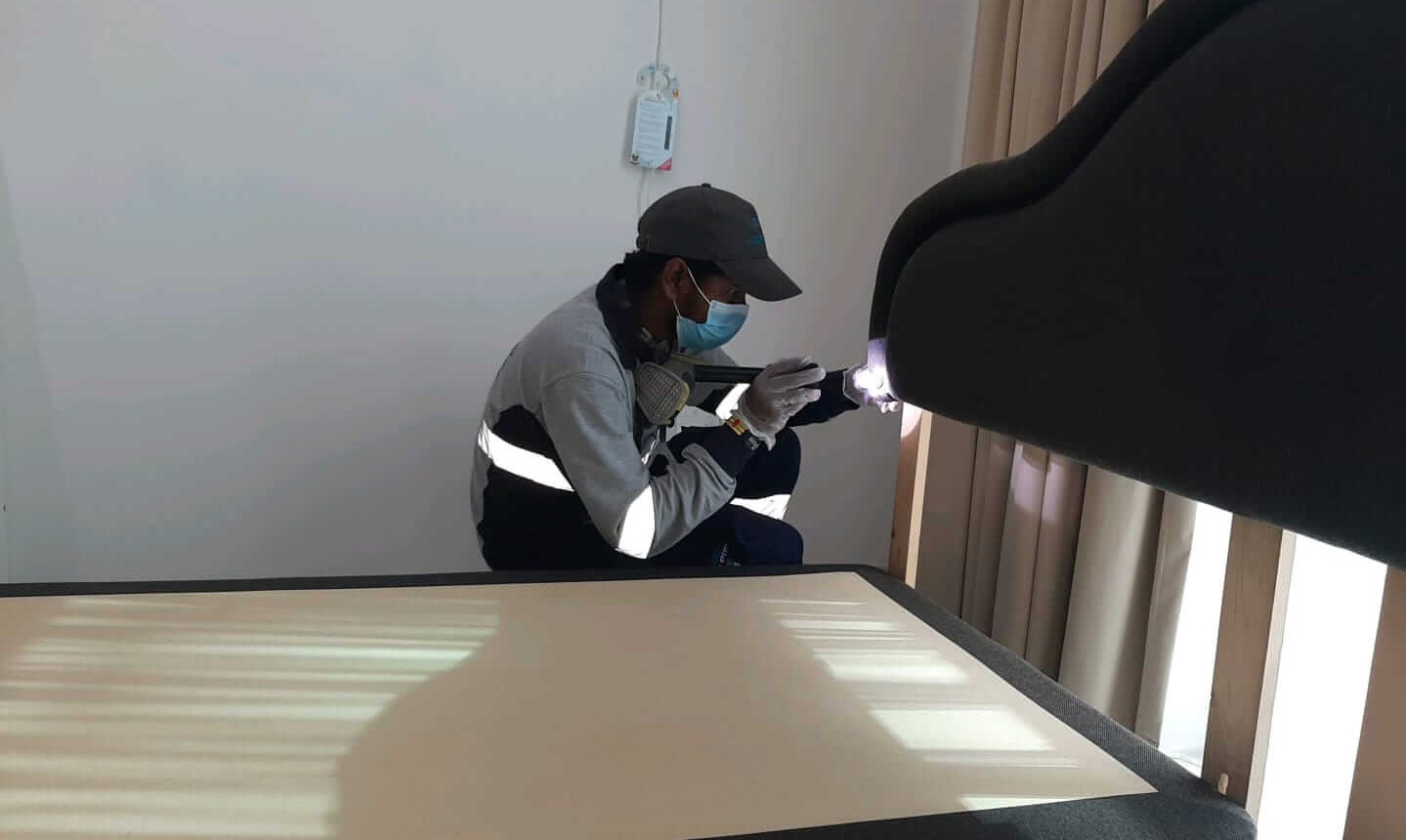 Bed Bugs Control Abu Dhabi