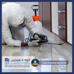 DIY Pest Control VS. Hiring for Pest Control Services in Dubai: What’s the difference?