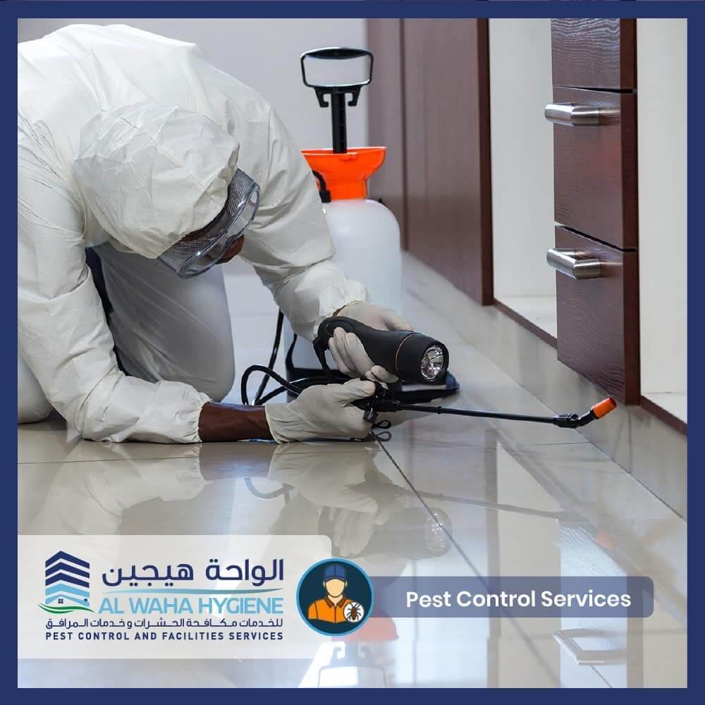 DIY Pest Control VS. Hiring Services for Pest Control in Dubai: What’s the difference?