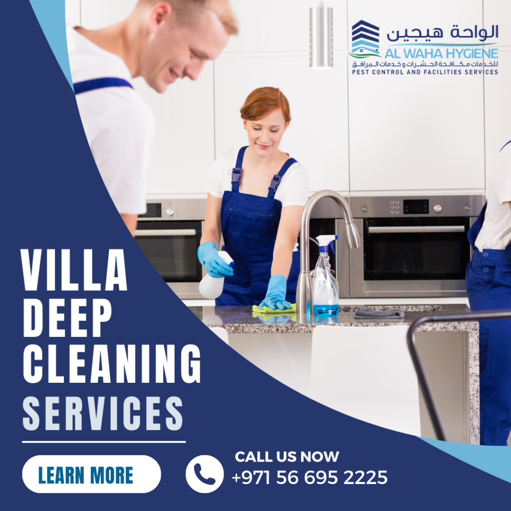 The Power of Professional Villa Deep Cleaning in Abu Dhabi