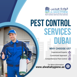 Pest Control in 2026: Process of Pest Control Services in Dubai