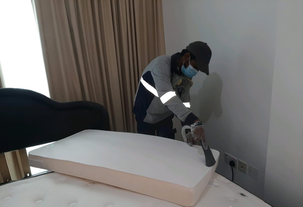 Pest Control Dubai