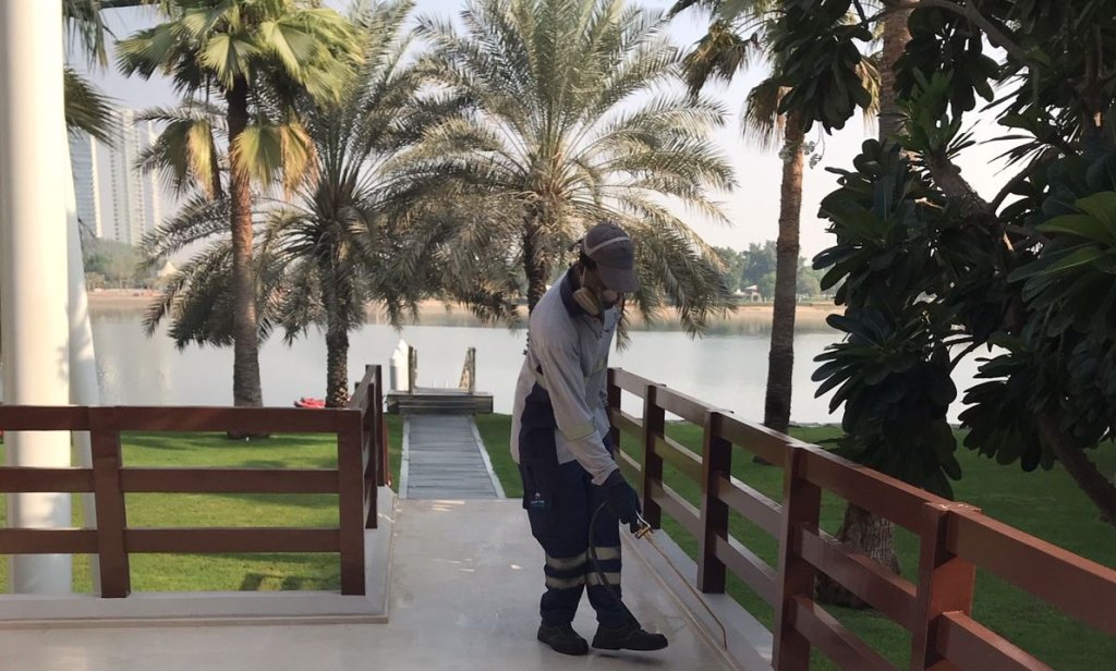 Pest Control in Dubai