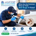 What Are the Common Ways to Treat Bed Bugs in Dubai?