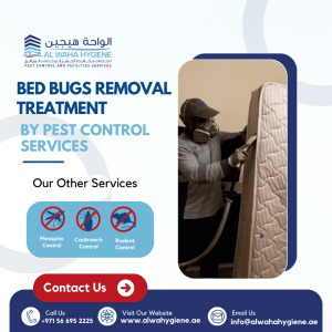 Are Bed Bugs Removal Treatments by Pest Control Safe in Dubai? What You Need to Know