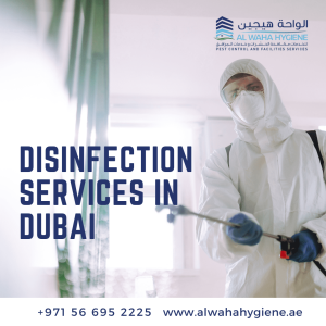Flu Season 2026: How Effective Are Disinfection Services in Dubai Offices?