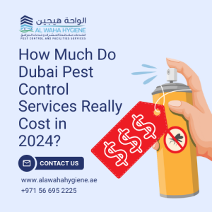 How Much Do Dubai Pest Control Services Really Cost in 2026?