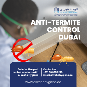 2026 Anti-Termite Control in Dubai: What’s New and Effective?