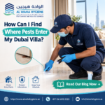 How Can I Find Where Pests Enter My Dubai Villa?