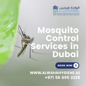 How Effective Are Mosquito Control Services in Dubai?