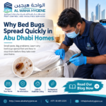 Why Bed Bugs Spread Quickly in Abu Dhabi Homes