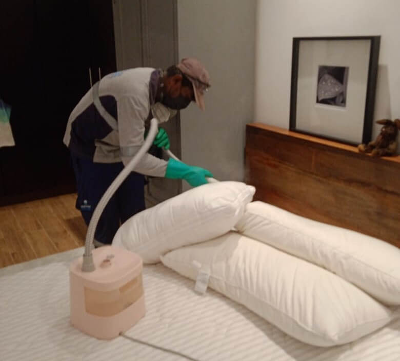 Bed Bugs Control Dubai