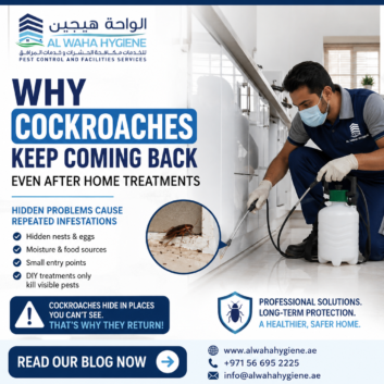 Why Cockroaches Keep Coming Back Even After Home Treatments