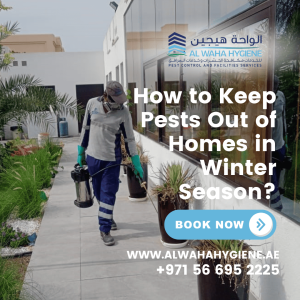 How to Keep Pests Out of Homes in Winter Season?
