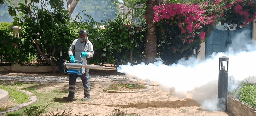 Mosquito Pest Control Near You