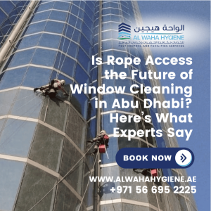 Is Rope Access the Future of Window Cleaning in Abu Dhabi? Here’s What Experts Say