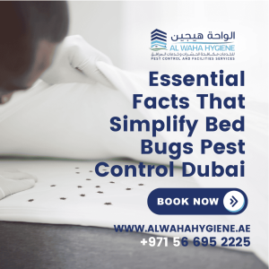 Essential Facts That Simplify Bed Bugs Pest Control Dubai