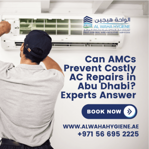 Can AMCs Prevent Costly AC Repair in Abu Dhabi? Experts Answer