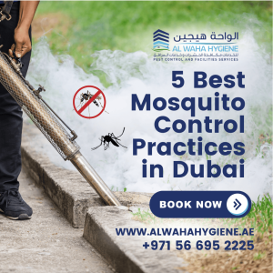 5 Best Mosquito Control Practices in Dubai
