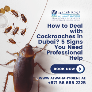 How to Deal with Cockroaches in Dubai? 5 Signs You Need Professional Help
