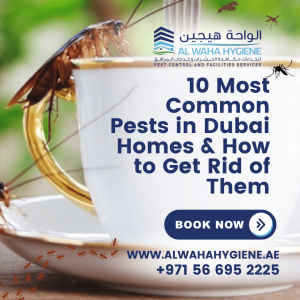 10 Most Common Pests in Dubai Homes & How to Get Rid of Them