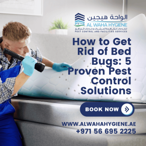 How to Get Rid of Bed Bugs: 5 Proven Pest Control Solutions
