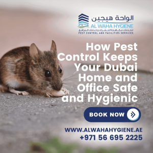 How Pest Control Keeps Your Dubai Home and Office Safe and Hygienic