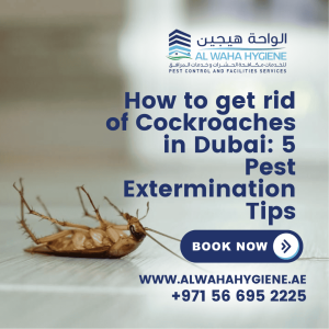 How to Get Rid of Cockroaches in Dubai: 5 Pest Extermination Tips
