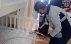 Bed Bugs Pest Control