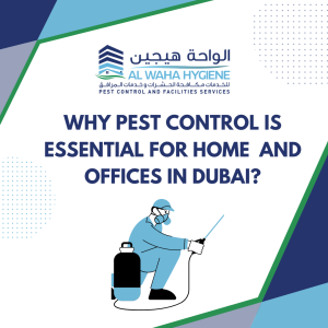 Why Pest Control is Essential for Your home and Offices in Dubai
